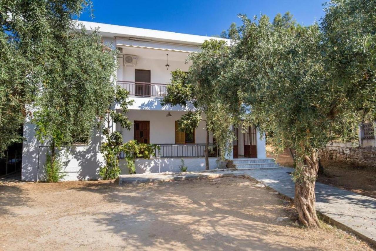 פוטוס Xanthi'S Dream Place מראה חיצוני תמונה